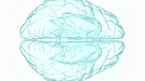 X-ray human brain in blue. Nächste Generation von Mini-Gehirnen gezüchtet