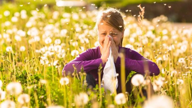 Ein Mädchen sitzt auf einer Wiese voller Pusteblumen und hält sich ein Taschentuch vor die Nase.