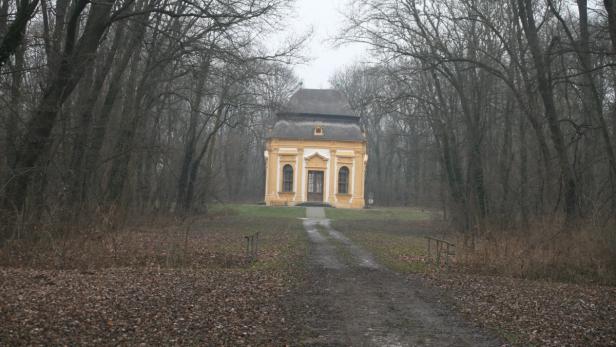 Ein gelbes Gartenhaus steht in einem dichten Wald.