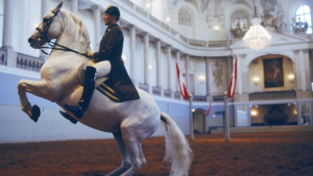 Unser Erbe: Kultur & Natur aus Österreich