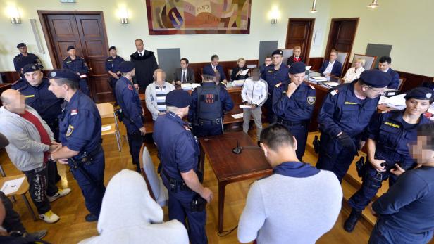 Die rumänische &quot;Frosch-Bande&quot; vor Gericht