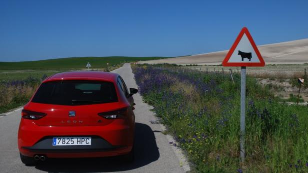 Ein roter Seat Leon steht neben einem Warnschild vor freilaufenden Kühen auf einer Landstraße.