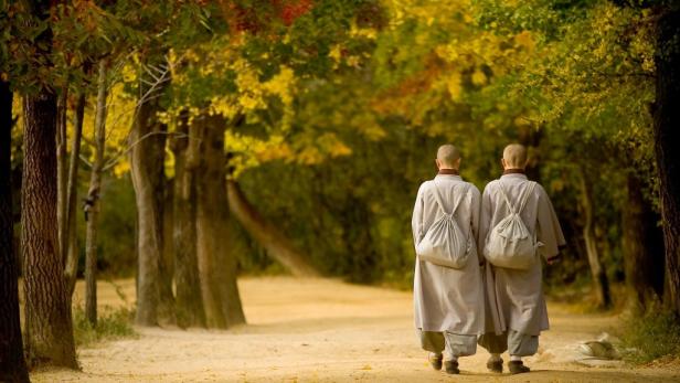 Südkorea: Finde dich selbst als Mönch auf Zeit