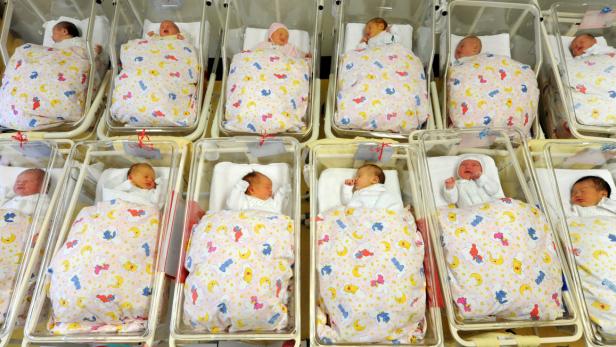 Mehrere Neugeborene liegen in ihren Betten in einem Krankenhaus.