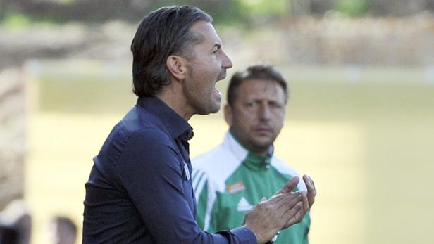 Unter Druck: Austria-Coach Gerald Baumgartner wird nicht nur von Rapid-Coach Zoran Barisic kritisch beäugt.
