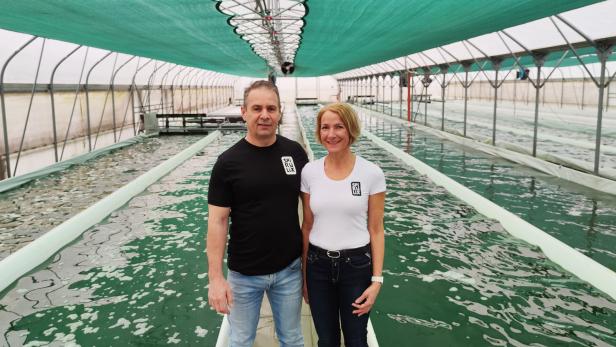 Algenbauern Pfiel kultierieren ihre Rohstoffe in Niederösterreich.