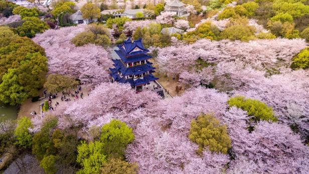 Die tausendjährige Blüte: Chinas Gartenstadt Suzhou