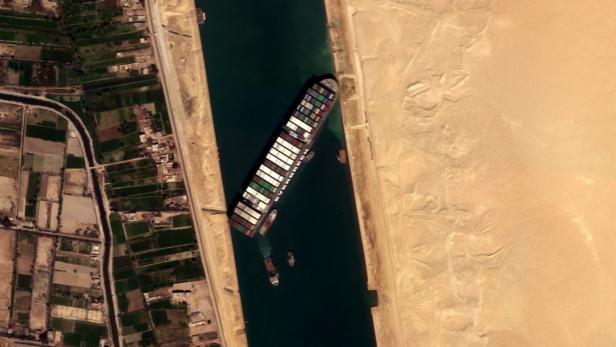 Suezkanal: Elf Frachter mit 130.000 Schafen stecken fest