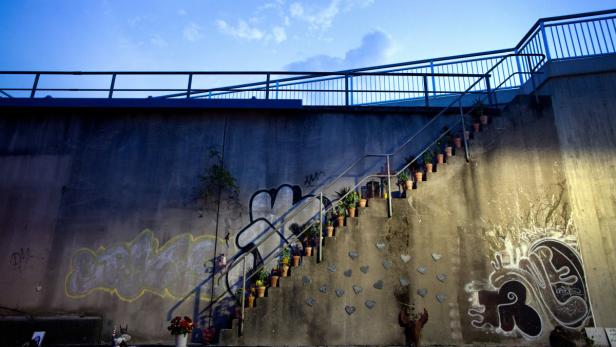 Eine Treppe mit Topfpflanzen führt an einer mit Graffiti bemalten Betonwand entlang.