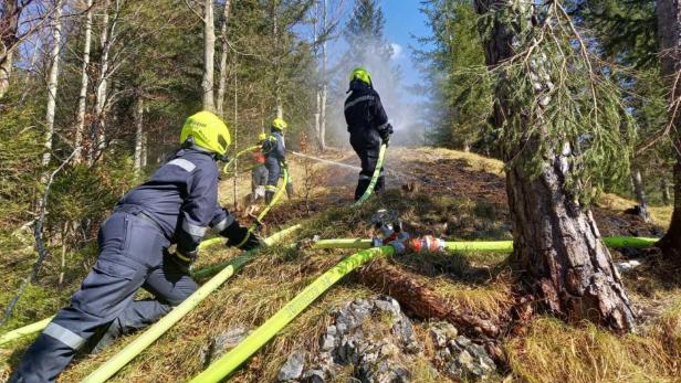 Erster Waldbrand beschäftigte Feuerwehren im Bezirk Lilienfeld