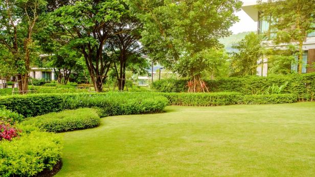 Schöne Gärten: Pflegetipps für den perfekten Rasen im Garten