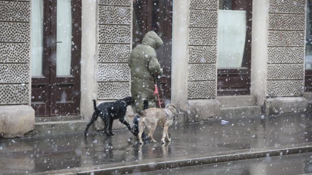 Schneeregen auf einer Straße im Wiener Winter.