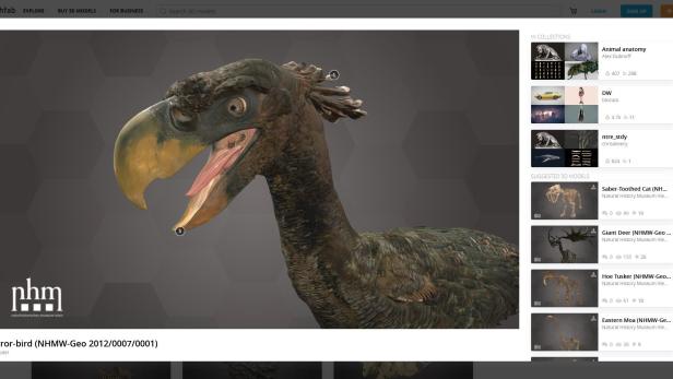 T-Rex ist jetzt online in 3D zu bewundern