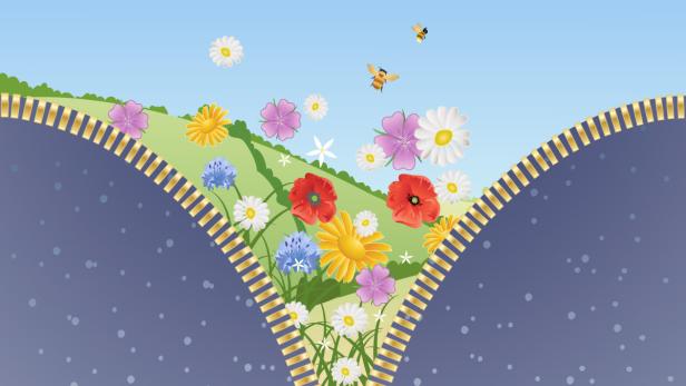 an illustration of a snowy winter scene unzipping into a summer landscape with bees and flowers under a blue sky