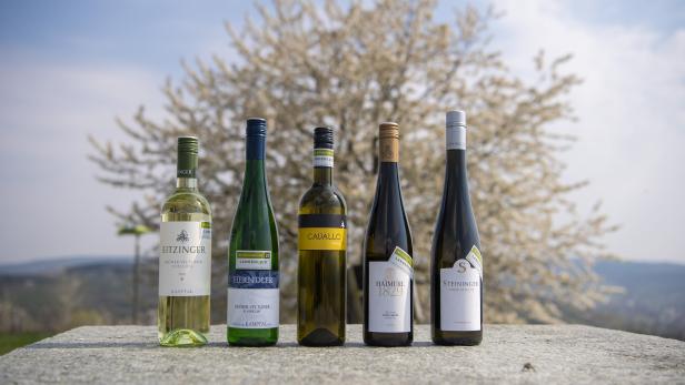 Weinbauverein Langenlois kürte die besten Weine der Region