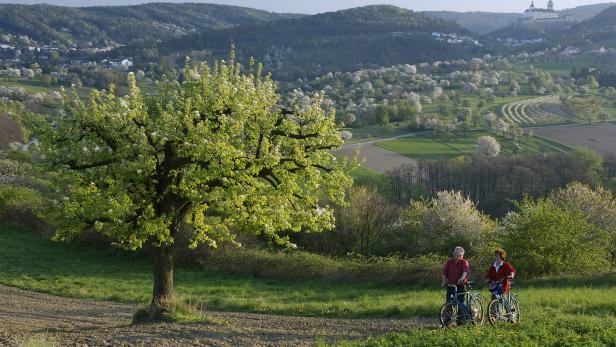Burgenlands Tourismus-Chef sucht drei Häuptlinge