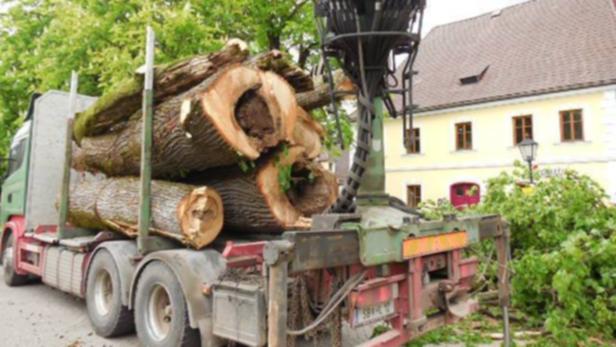Ein Lastwagen ist mit Baumstämmen beladen, im Hintergrund ein gelbes Gebäude.