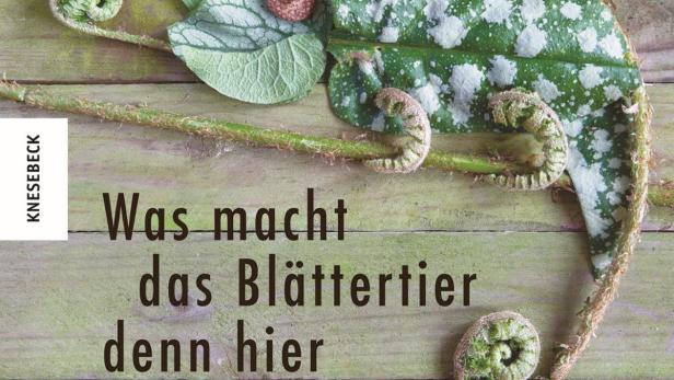 Ein Chamäleon aus Blättern und Farnen auf einem Holztisch.