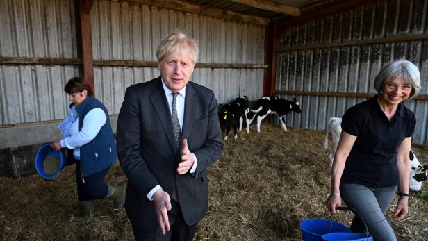 Der britische Premier Boris Johnson in einem Kuhstall: Die britischen Rindfleischexporte in die EU sind seit dem Brexit extrem stark gesunken