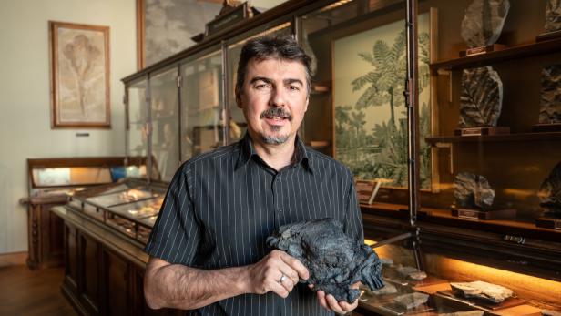 Paläontologe Alexander Lukeneder vom Naturhistorischen Museum leitet die zweijährige Forschungsarbeit in Lunz