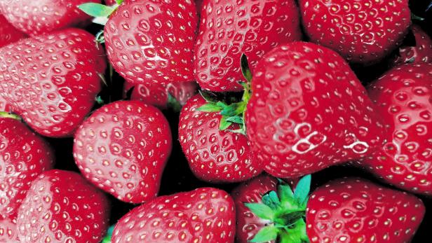 Erdbeeren aus dem Glashaus sind bereits erhältlich