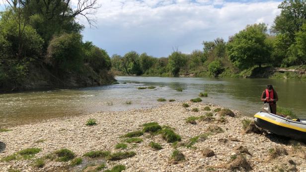 Einsatz für ökologische Vielfalt: 25 Jahre Nationalpark Donauauen