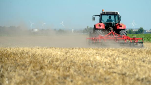 APA13977242 - 02082013 - RAASDORF - ÖSTERREICH: Ein Traktor beim Umpflügen eines Ackers im Marchfeld in Niederösterreich am Freitag, 2. August 2013. Die anhaltende Trockenheit macht der Landwirtschaft in Österreich stark zu schaffen. APA-FOTO: ROLAND SCHLAGER