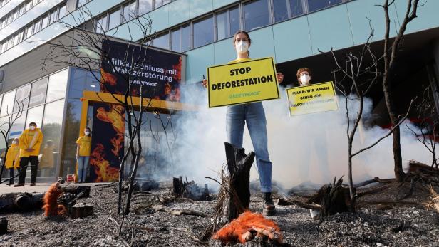 Schutz für Regenwald: Greenpeace-Protest vor Milka-Zentrale
