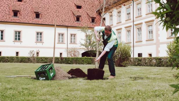 Bei der Baumpflanzung achtete Braumeister Markus Baumann höchstpersönlich auf den optimalen Standort für die Buche.