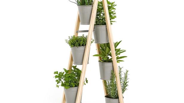Vertikales Gärtnern: Hoch hinaus mit Pflanzen