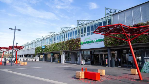 Spittelau: Liebesbaum und vertikale Wiese auf neuem U-Bahn-Vorplatz
