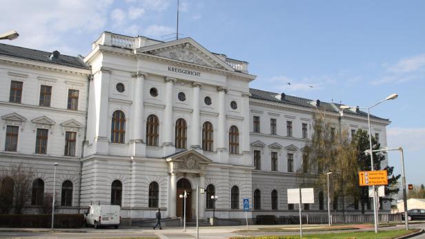 Am Landesgericht Wiener Neustadt wurde der Unternehmer zu 2,5 Jahren Haft verurteilt