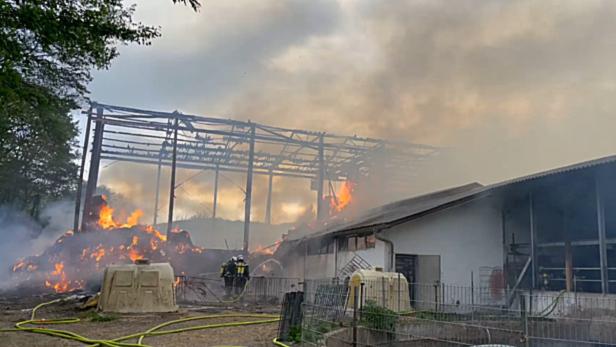 Großbrand auf Bauernhof im Bezirk Mödling