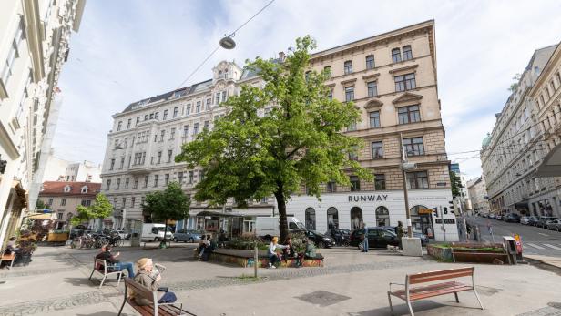 Letzte Aufbäumung: Noch steht ein Lindenbaum in Wien