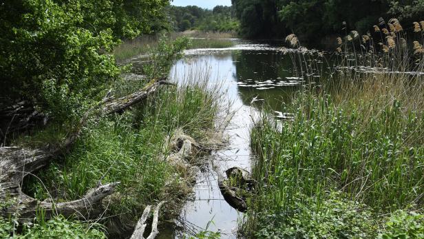 Die IUCN befürchtet negative Auswirkungen auf den Nationalpark Donau-Auen.