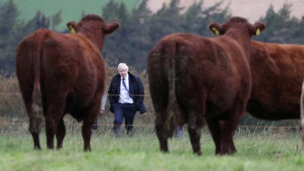 Boris Johnsons Charmeoffensive in Schottland