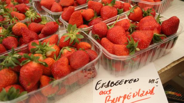 Erdbeer-Bauern aus Wiesen sehen wegen falscher Deklaration rot