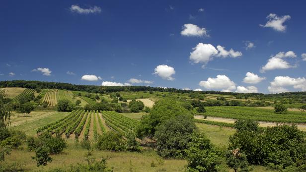 5 wunderschöne Naturparks für einen Sommerausflug