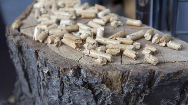 Holzpellets liegen auf einem Baumstumpf.