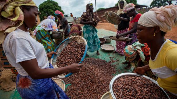 Fairtrade boomt – am Schokoladenmarkt ist dennoch viel im Argen
