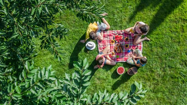 Happy family having picnic in park, parents with kids sitting on grass and eating healthy meals outdoors, aerial drone view from above