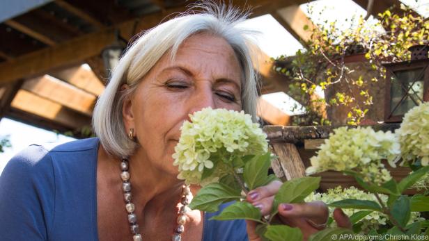 Ein Erlebnis für die Sinne, wenn Blüten schön aussehen und auch herrlich duften