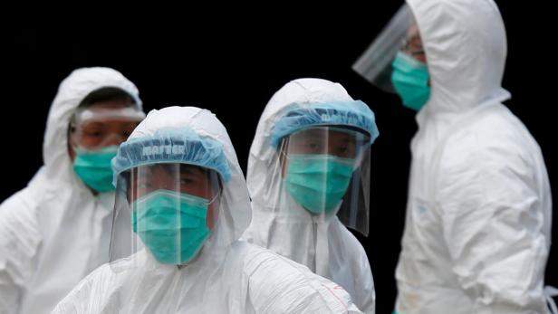Vogelgrippe-Ausbruch 2016 in Hongkong (Symbolbild)