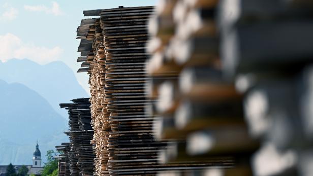 20 Millionen Euro Förderung für den Holzbau