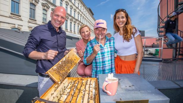Süßwarenhersteller Manner produziert jetzt eigenen Honig