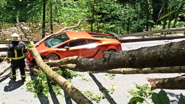 Steiermark: Baum auf Lamborghini gestürzt