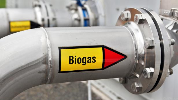 Biogas spaltet die Geister