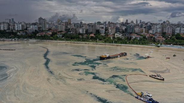 Meeresschleim in Türkei: Marmarameer "jetzt totes Meer"