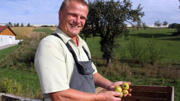 Johannes Zarl, Primus der Mostbarone ist vor dem Erntestart optimistisch