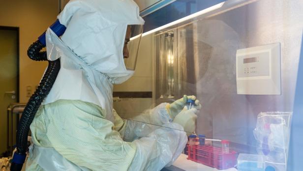 Auch am deutschen Helmholtz-Zentrum für Infektionsforschung wird an neuen Antikörper-Therapien gegen Covid-19 geforscht.